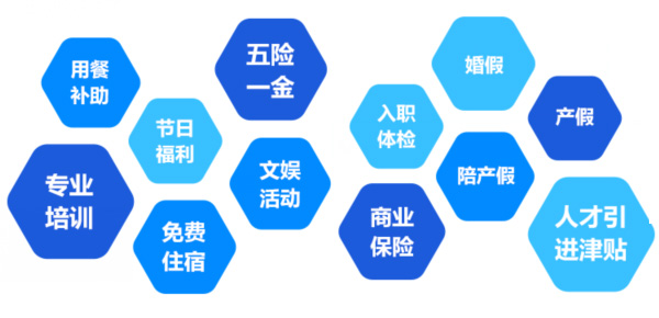 提供全面、系统、专业的培训和广阔的<br>职业发展空间和提升机会